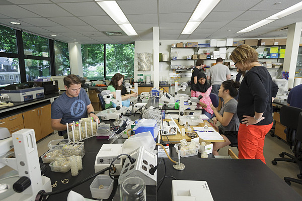 Summer Fellows Lab