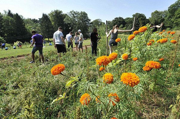 Ursinus Organic Farm