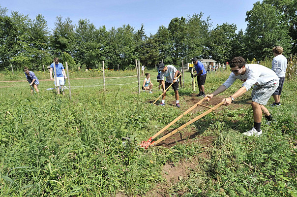 Ursinus Organic Farm