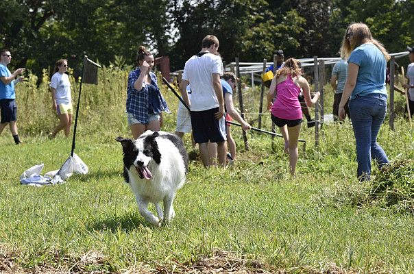 Ursinus Organic Farm