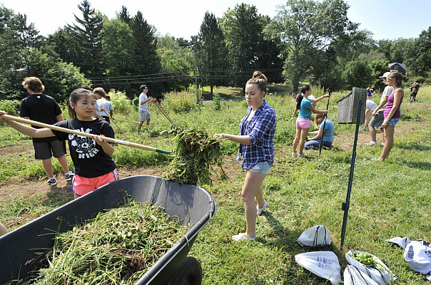 Ursinus Organic Farm
