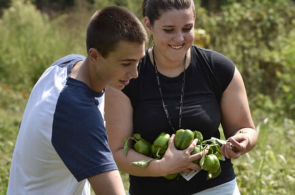 Ursinus Organic Farm