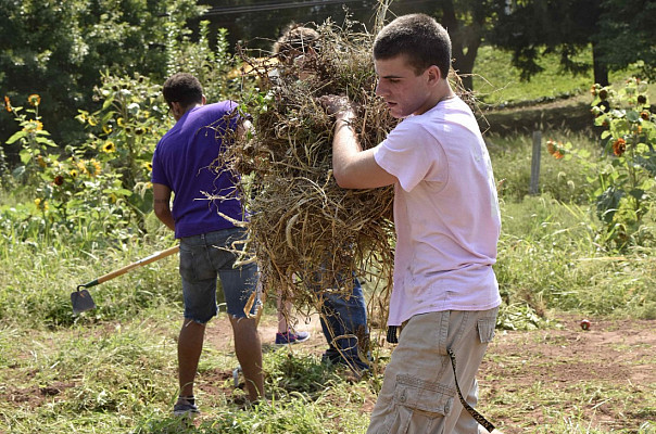 Ursinus Organic Farm