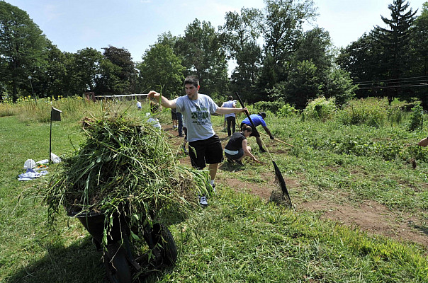 Ursinus Organic Farm