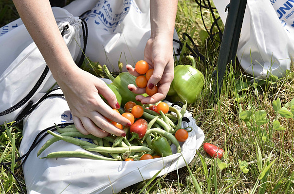 Ursinus Organic Farm