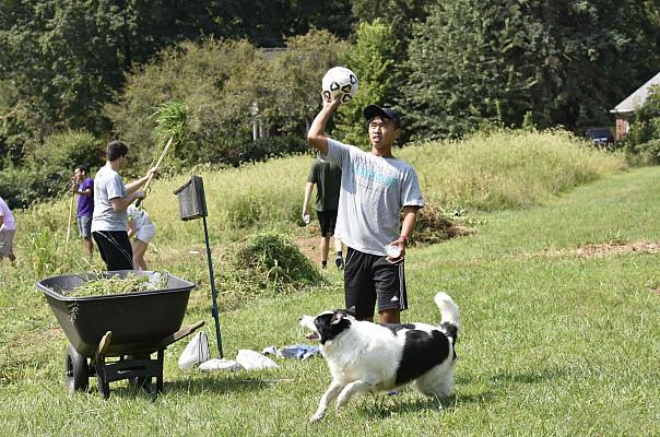 Ursinus Organic Farm