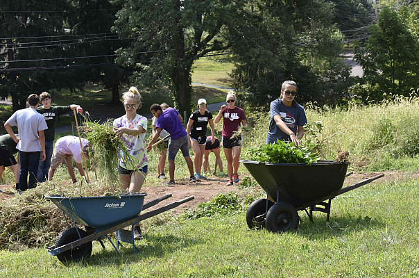 Ursinus Organic Farm