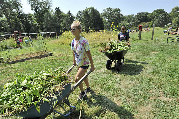 Ursinus Organic Farm
