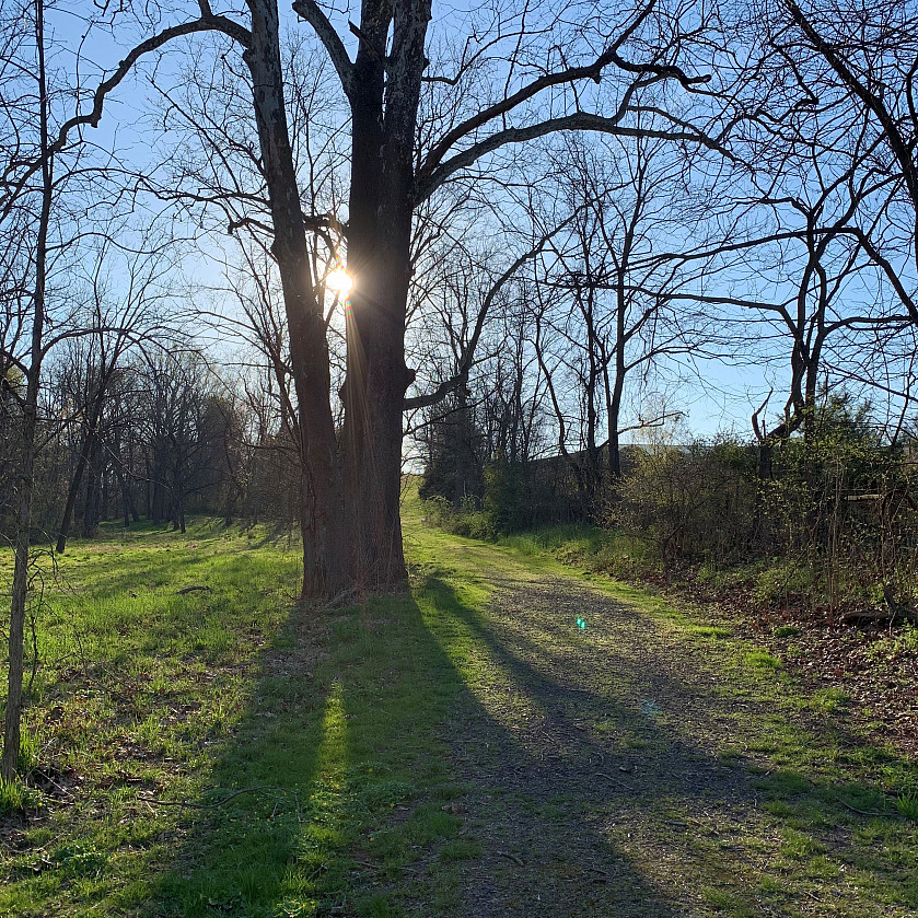 Hunsberger Woods