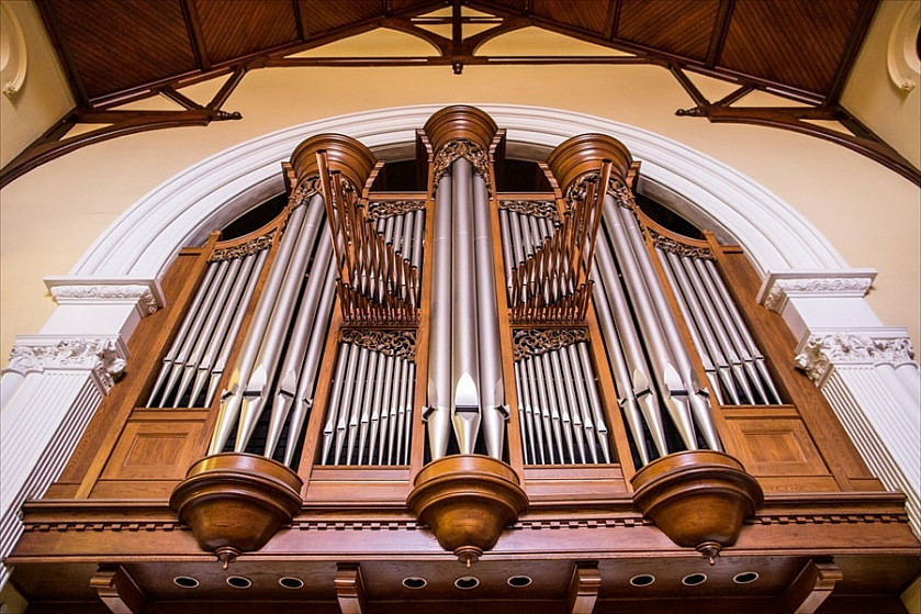 Organ