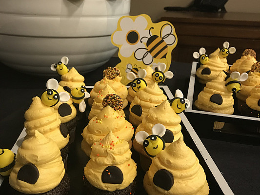 Kait Lawrence '19 planned a Bee Banquet in Fall 2017 to raise awareness for pollinators on campus