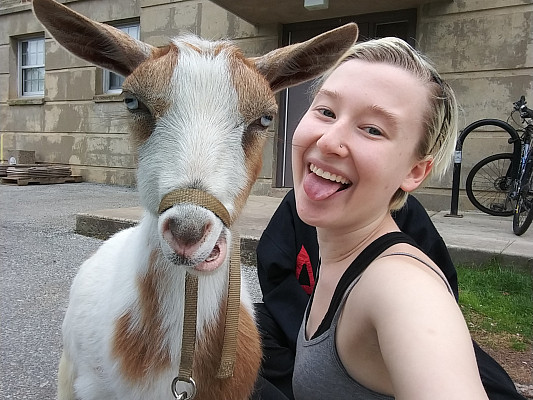 Jess Greenburg '21 brought Philly Goat Project to campus for an animal therapy day