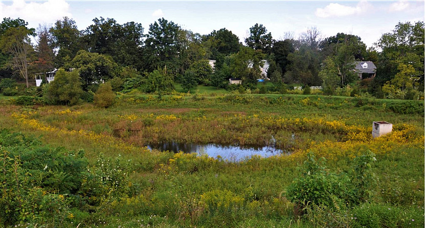 Ursinus College Stormwater Basin