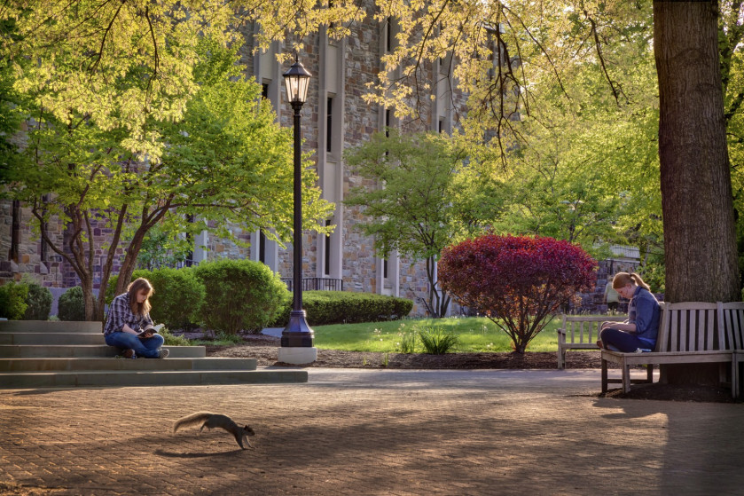 Students and Trees in Olin Plaza