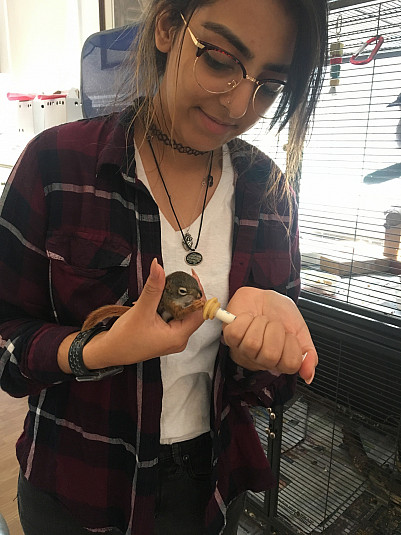 Anika Shah '19, Anthropology major. interned at AARK Wildlife Rehabilitation and Educational Cent...