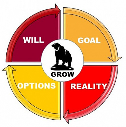 Career Coaching Grow Diagram