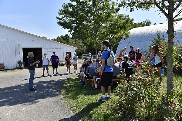 First-Year Day of Service 2016-2017