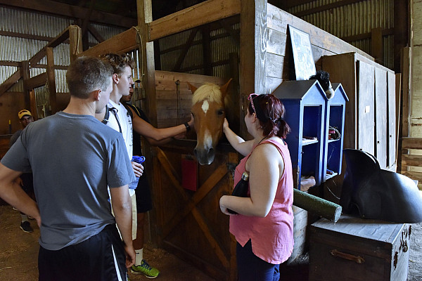 First-Year Day of Service 2016-2017