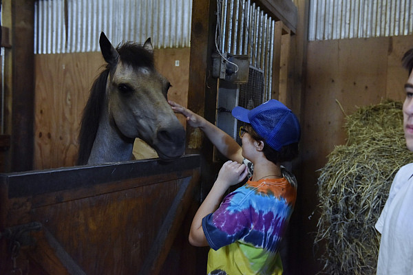 First-Year Day of Service 2016-2017