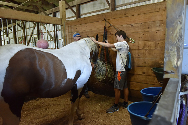 First-Year Day of Service 2016-2017