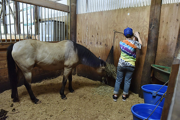 First-Year Day of Service 2016-2017