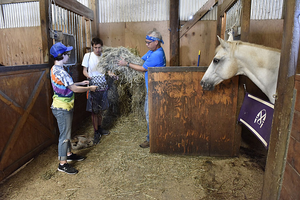 First-Year Day of Service 2016-2017