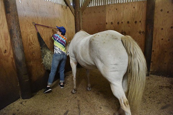 First-Year Day of Service 2016-2017