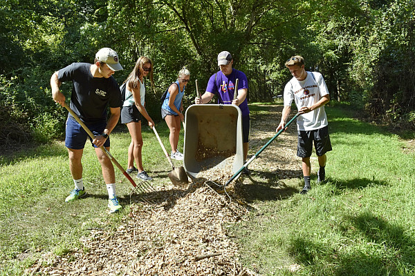 First-Year Day of Service 2016-2017