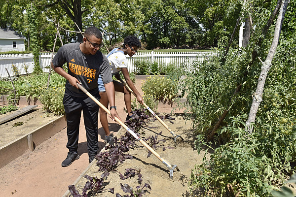 First-Year Day of Service 2016-2017