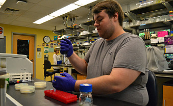 Connor Loomis' research Mapping the interaction between the synaptic adhesion protein Slitrk2 and PSD-95 via a yeast-two hybrid assay