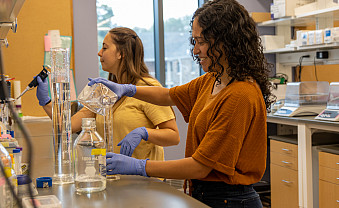 Summer Fellows