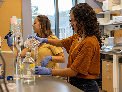 Summer Fellows Lab