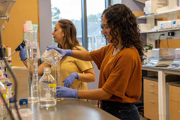 Summer Fellows Lab