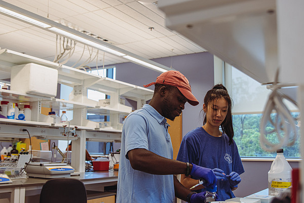 Summer Fellows Lab