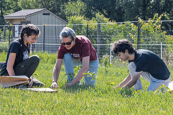 Students of Dr. Finney collect samples from research plots at the Whittaker Environmental Research Station - June 25, 2024