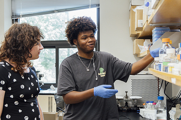 Mentors and mentees perform research in the lab of Dr. Reig as part of the 2024 FUTURE program. - June 25, 2024