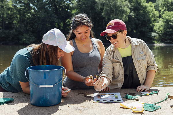 Students of Dr. Bove collect and measure crayfish in the Perkiomen Creek for research. - June 25, 2024