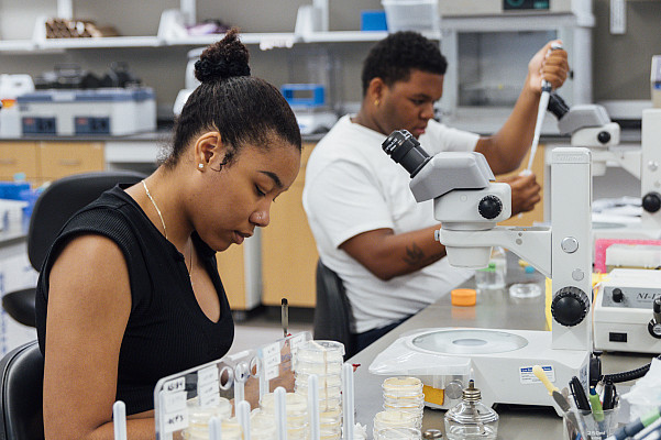 Mentors and mentees perform research in the lab of Dr. Lyzack as part of the 2024 FUTURE program. - June 25, 2024