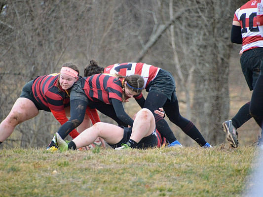 Womens rugby